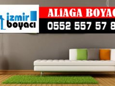 Aliağa Boyacı Ustası